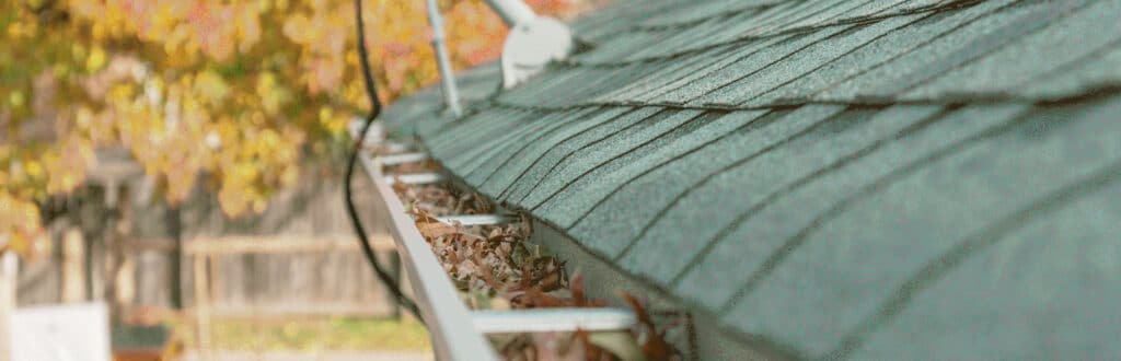 The Importance of Gutter Maintenance for Pest Control